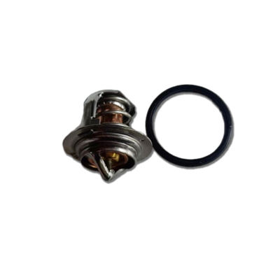 2495541 Thermostat For CAAT Engine Parts