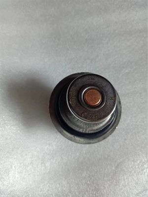 5284903 5478594 3940632 THERMOSTAT OEM For Cummins QSL8.9
