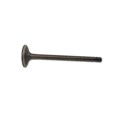 8-94395882-1 8943958821 Intake Valve