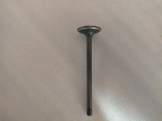 8-94395882-1 8943958821 Intake Valve