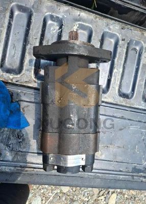Excavator Hydraulic Main Pump 200600058