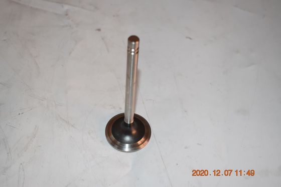 CAT3306 E330 Engine Parts Exhaust Valve 1487455 1007860 Intake Valve