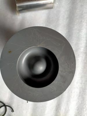 3054 Engine Piston Assy With Pin  Clip 1521390 For Caterpillar Exacvator Engine Parts